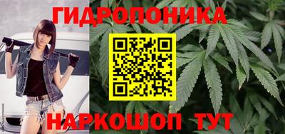 сатива Гусев