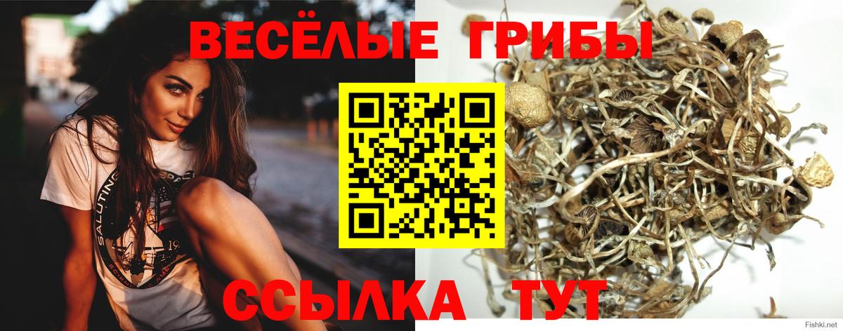 Галлюциногенные грибы MAGIC MUSHROOMS Трёхгорный
