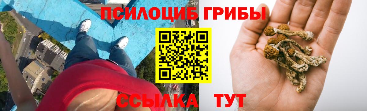 Трёхгорный  Галлюциногенные грибы Cubensis  Вход с VPN 